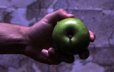 Article Image for Corporate Wellness Programs Gaining Global Adoption