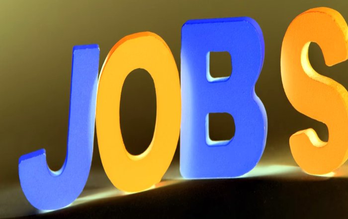 Article Image for Diverse Career Paths Emerging Across the Sports Industry