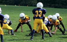 Article Image for Education Pathways Preparing the Next Generation of Sports Leaders