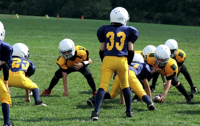 Article Image for Education Pathways Preparing the Next Generation of Sports Leaders