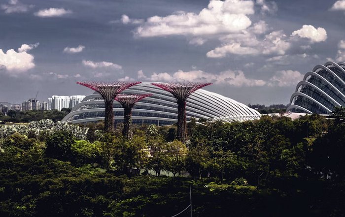 Article Image for Environmental Policies Transforming Sports Venues