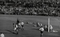 Article Image for Grassroots Movements Amplified by Sporting Legends