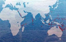 Article Image for International Travel Connecting Global Sports Leagues