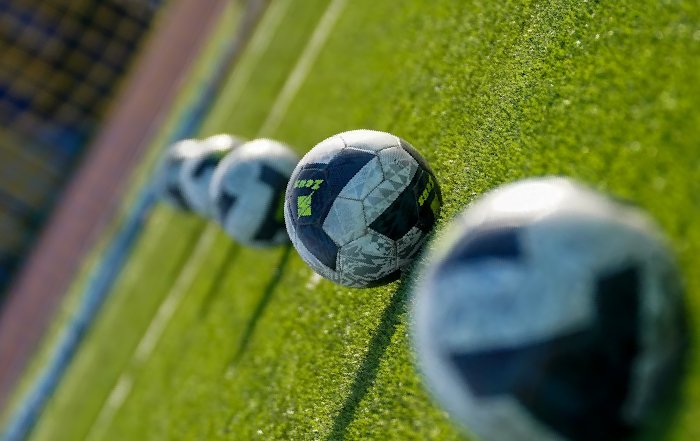 Article Image for The Cultural Phenomenon of Fantasy Sports Leagues