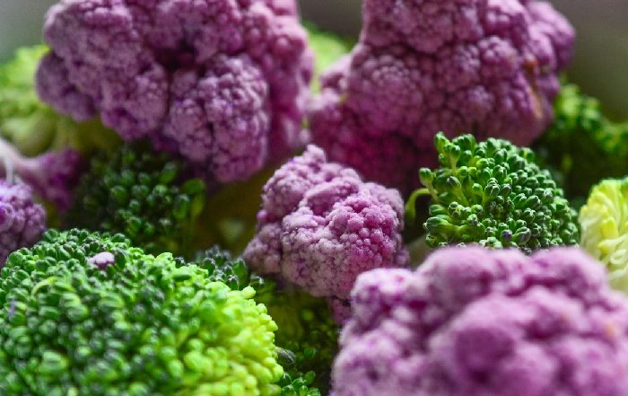 Article Image for The Rise of Plant-Based Nutrition in Professional Sports
