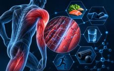Article Image for The Science Behind Faster Muscle Recovery