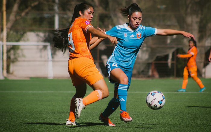 Article Image for Women’s Sports Leagues and the Fight for Equal Sponsorship